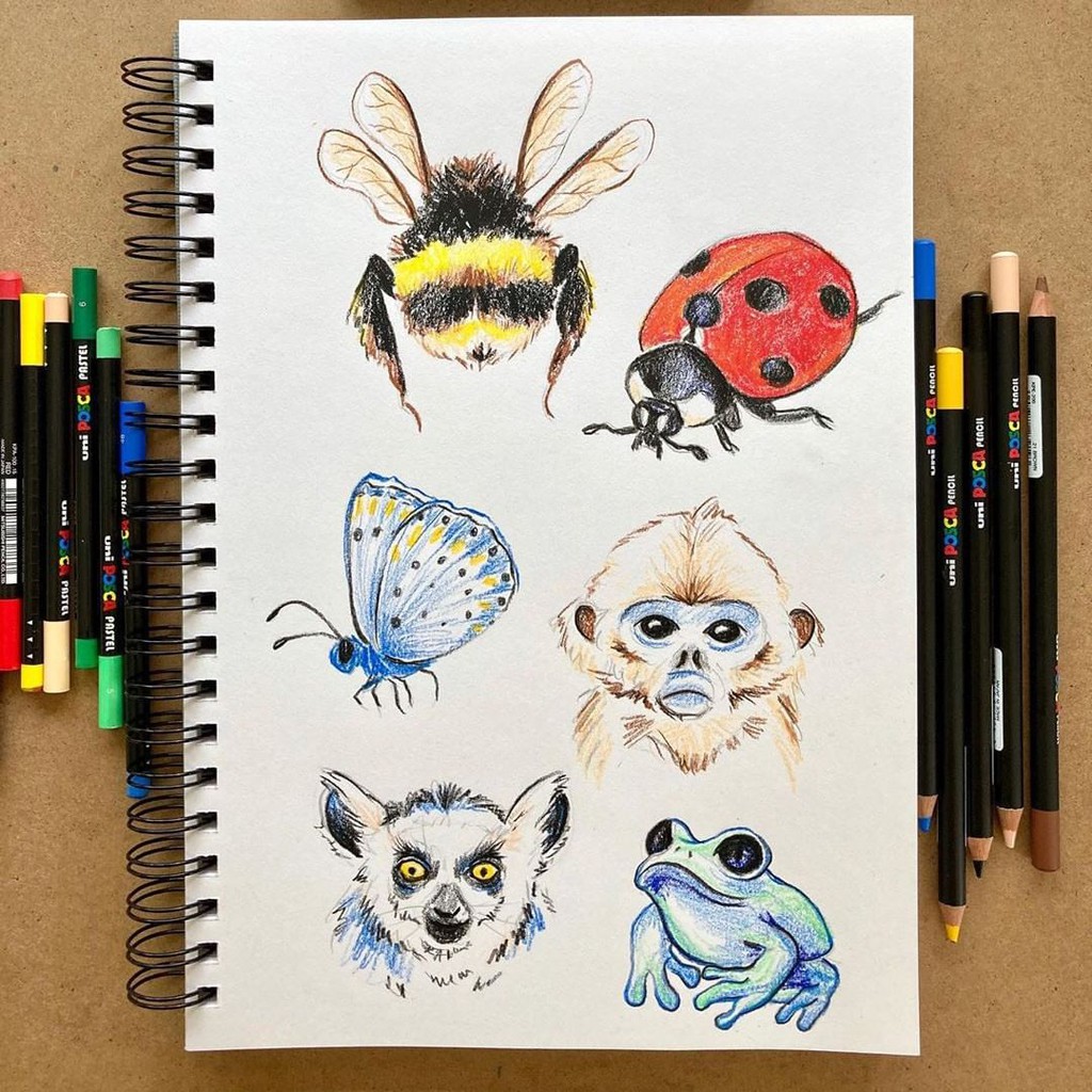 Bút sơn nước vẽ đa chất liệu Uni Posca PC-8K - Ngòi 8.0mm