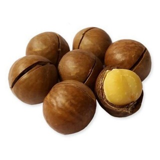 HẠT MACCA TÁCH VỎ 500g