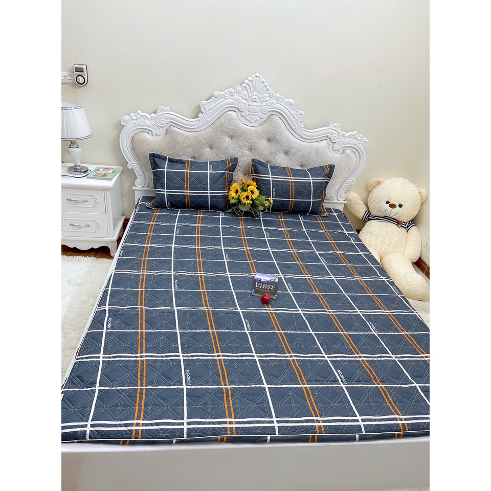 [Xả rẻ vô địch] Bộ 3 món ga gối poly chun trần bông cao cấp siêu êm siêu ấm - KT: m6, m8