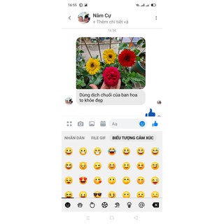 Dịch chuối đỗ chăm sóc hoa hồng