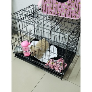 Bình treo chuồng cấp nước tự động