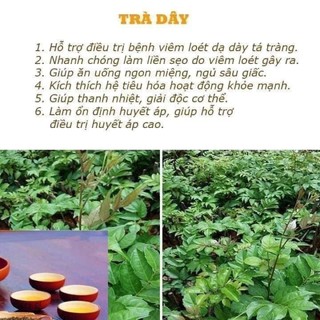 Trà hồng sâm
