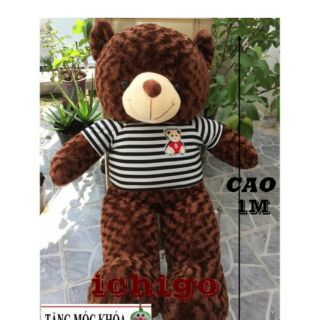 Gấu bông Teddy Cao Cấp khổ vải 1m2 Cao 1M màu Nâu hàng VNXK