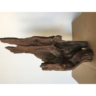 Lũa ghép lan, trang trí