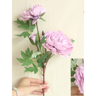 Hoa mẫu đơn lụa, mẫu đơn giả