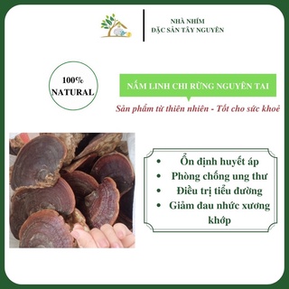 Nấm linh chi đỏ chuẩn rừng túi 1kg