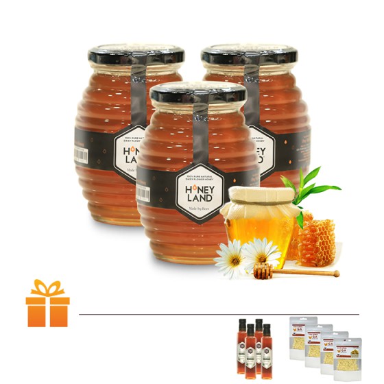 HONEYLAND - Combo 3 lọ Mật Ong Hoa Xuyến Chi 500 g/chai | TẶNG: 4 Chai Mật Ong Hoa Điện Biên 380 g/chai &amp; 4 Gói Chà Bông