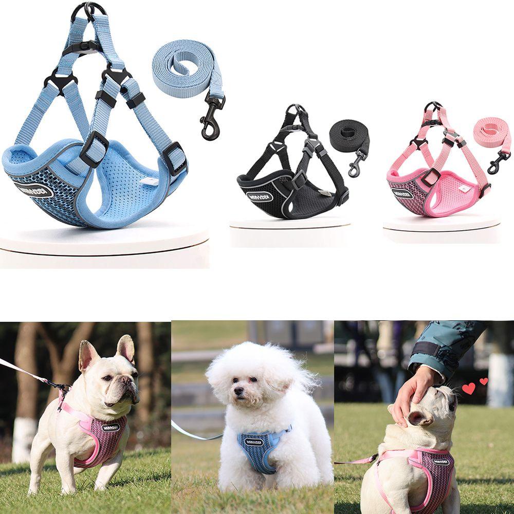 Dây Dắt Thú Cưng Đi Dạo Bằng Lưới Mềm Mại Thoáng Khí Siêu Bền Có Thể Điều Chỉnh