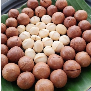 500gram Hạt Macca Organic ĐăkLăk size A giữ trọn vẹn dinh dưỡng hạt