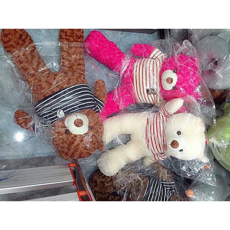 Gấu Bông Teddy, Thú Nhồi Bông Siêu To Mặc Áo Cao Cấp Chất Liệu Lông Xù Big Size