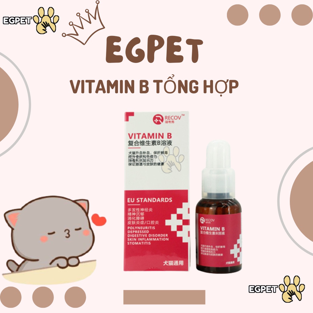 Vitamin B cho chó mèo, thú cưng nhỏ, tăng đề kháng, thèm ăn
