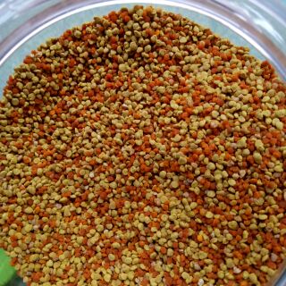 500g phấn hoa rừng hảo hạng
