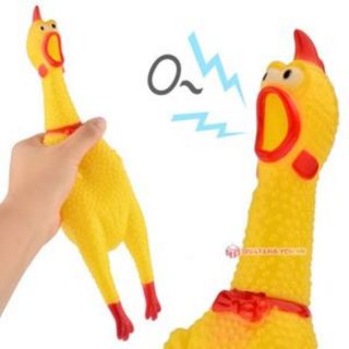 Gà bóp kêu Shrilling Chicken