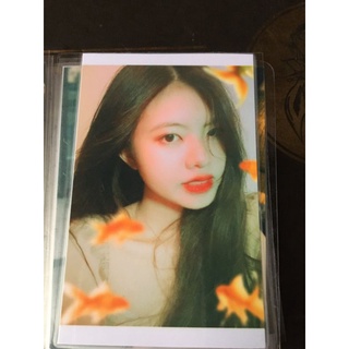 Ảnh 6x9, 7x10, 9x12, 10x15 ép plastic