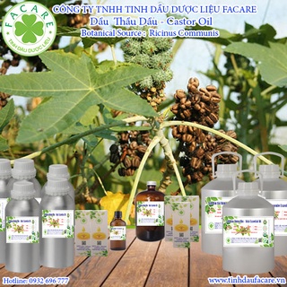 Dầu Thầu Dầu Castor Oil - 1000ml