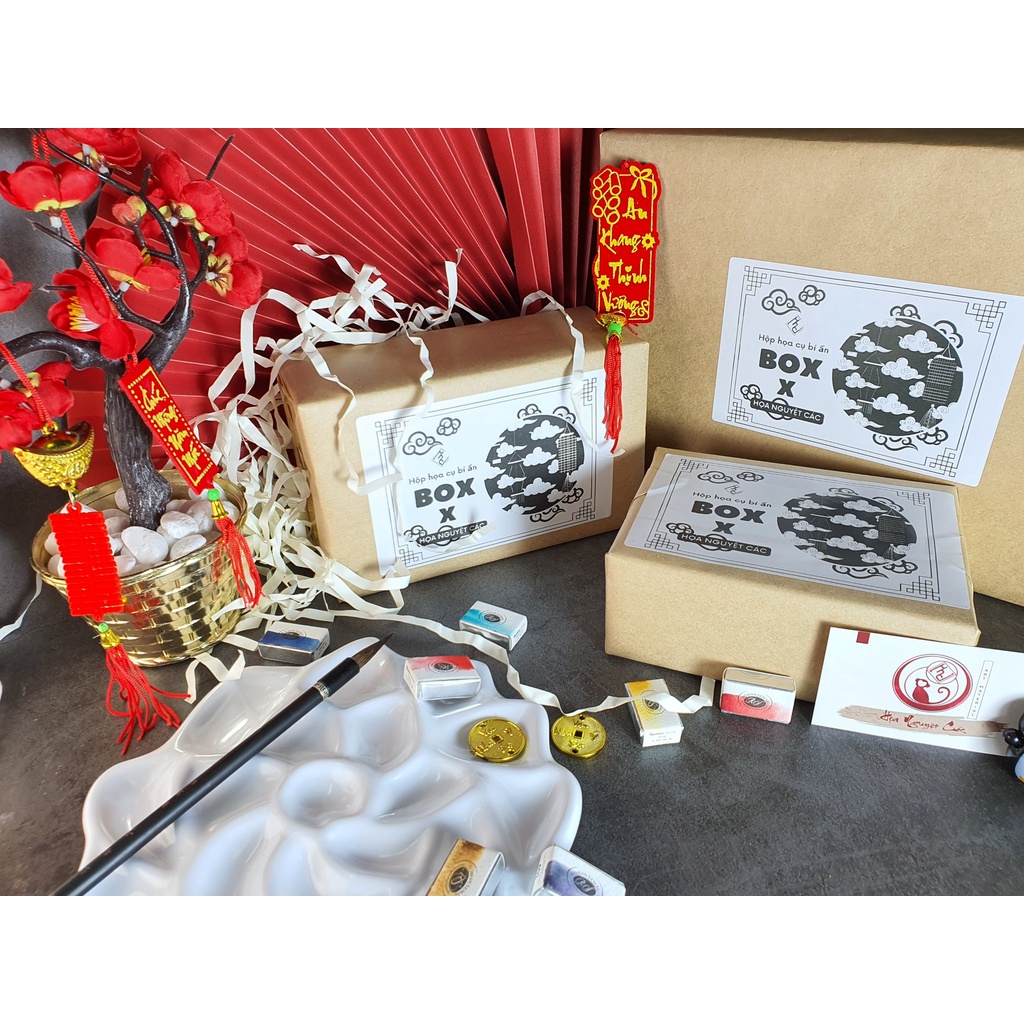 Hộp họa cụ bí ẩn Box X