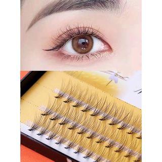 [Hàng mới về] Set 60 Lông Mi Giả 8mm - 12mm Dùng Để Nối Mi Tiện Dụng