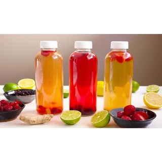 Scoby - Men làm trà Kombucha