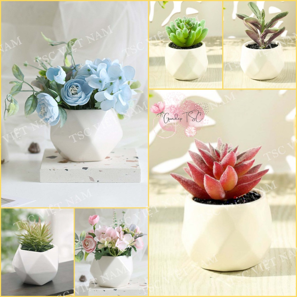 Chậu MINI Bát Tràng Trồng Sen Đá, Cây Cảnh, Hoa Giả, Xương Rồng Dáng Kim Cương