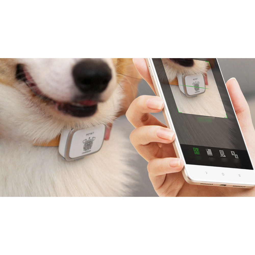 Máy định vị xe cộ, thú cưng (Chó/mèo) XIAOMI Xiaomi Accompanying pet dog locator - Phụ Kiện Chi Hà