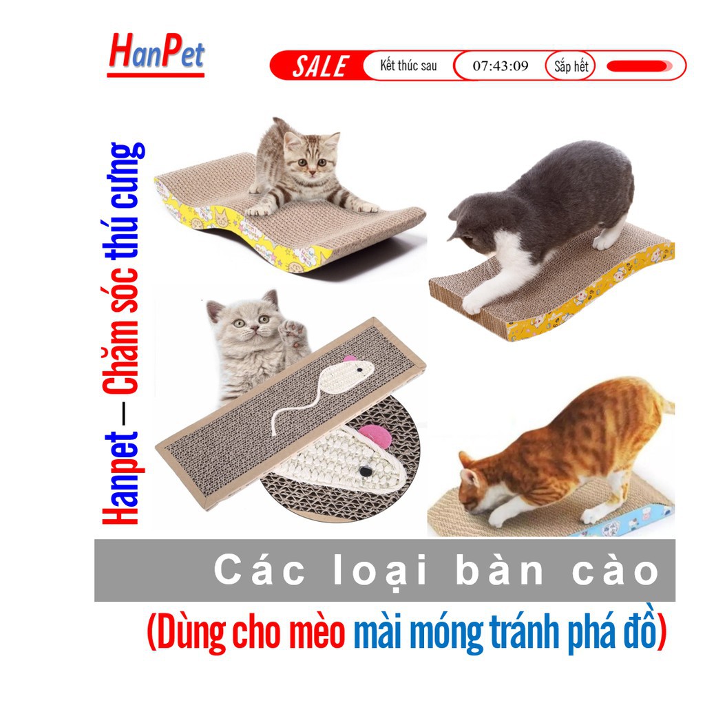 Hanpet.GV- Bàn Cào móng cho mèo kiêm mài móng tránh mèo cào ghế sô pha (nhiều loại)