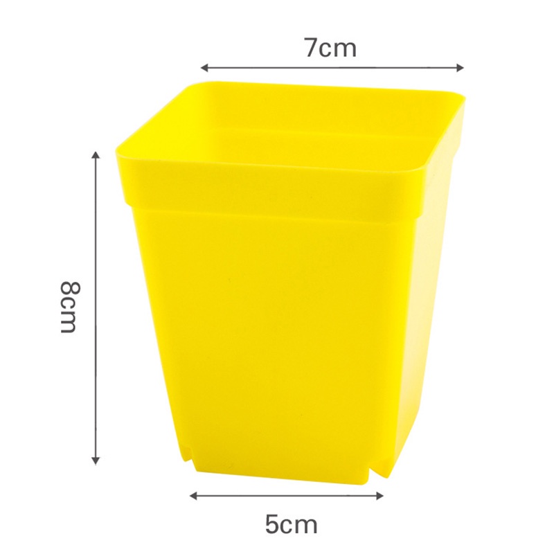 Set 10 Chậu Nhựa Trồng Cây Hình Vuông Tiện Dụng