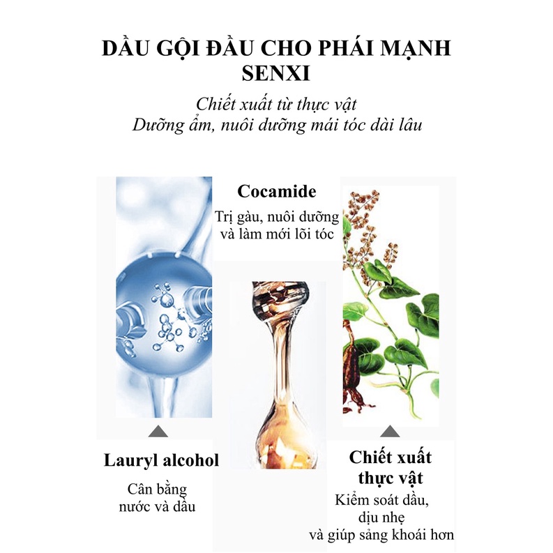 Dầu gội đầu cho nam giới SENXI 500ml mùi thơm, sạch gàu, da đầu hết ngứa, kiềm dầu, tóc óng mượt giảm rụng tóc SPT110041