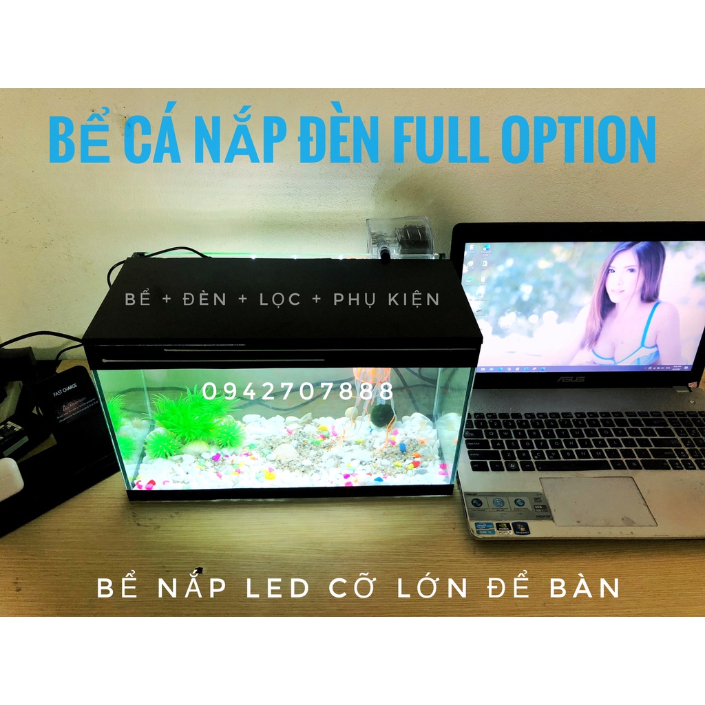 FREESHIP Set bể cá mini 40cm nắp đèn led và lọc thác
