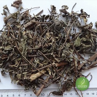 Cây râu mèo 0,5kg - JD015