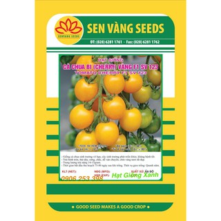Hạt giống cà chua bi vàng 0.1gr f1 123 dễ trồng