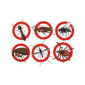 Diệt côn trùng, ruồi, muỗi, kiến, gián Zupan 50EC - thuốc được dùng trong y tế - VTNN Bắc Từ Liêm