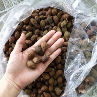 100g hạt đười ươi