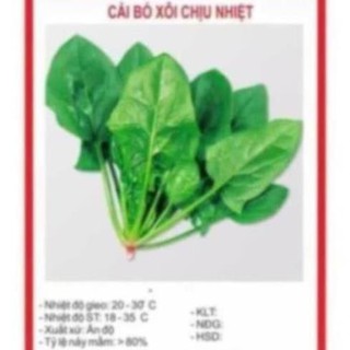 Hạt giống cải bó xôi 20gr ~2500 hạt