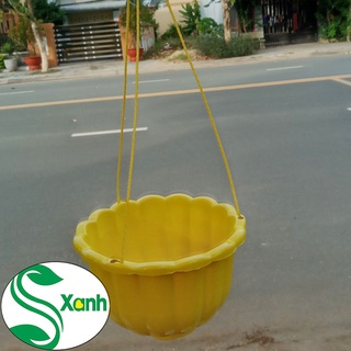 Chậu trồng cây treo size lớn