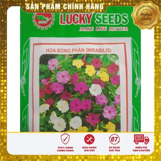 Hạt giống hoa Bông Phấn Nhiều màu (Mirabilis Jalapa)