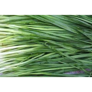 Hạt giống hẹ 2gr