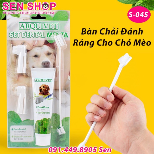 COMBO BÀN CHẢI VÀ KEM ĐÁNH RĂNG CHÓ MÈO