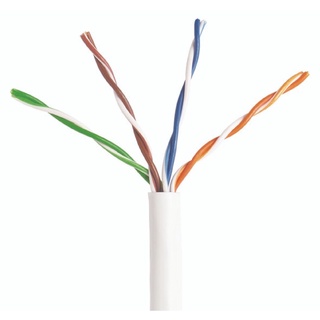 Dây cáp mạng bấm sẵn 2 dầu dài 5m- Cap Internet