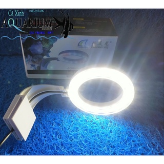 ĐÈN LED TRÒN XML TRẮNG KẸP BỂ CÁ