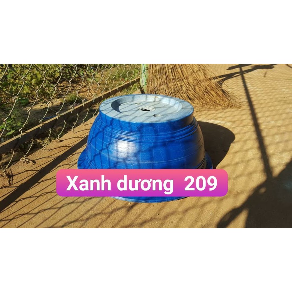 Sơn chậu kiểng hệ nước DOLPHIN màu Xanh dương