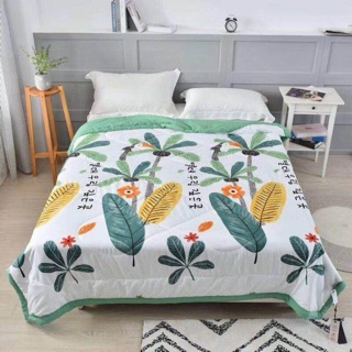 Chăn zara home