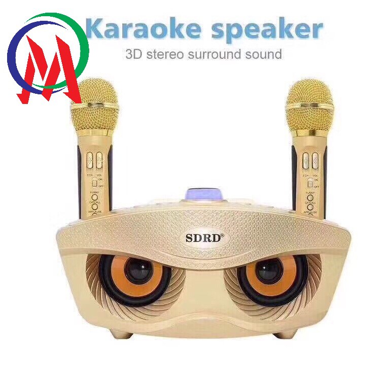 Loa karaoke sd-306 kèm 2 Mic