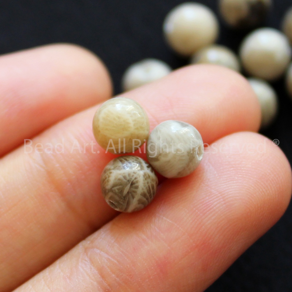 6MM San Hô Hoá Thạch  Loại A, Tông Màu Xám Vàng, Phối Vòng Tay Phong Thuỷ, Chuỗi Hạt S50 - Bead Ar