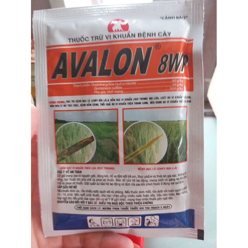 Thuốc trừ bệnh AValon 8wp 25g Thuốc đặc trị vi khuẩn trên cây trồng