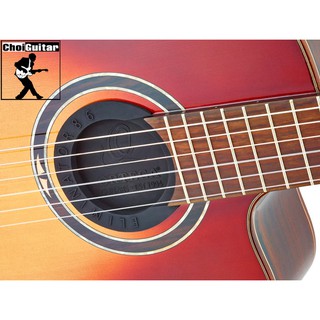 ORTEGA Eliminator 100mm - Cao su che lỗ đàn