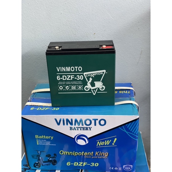 Ắc Quy Xe Đạp Điện, Xe Điện VIN MOTO12V- 30AH 6-DZF - 30 CHAMPION