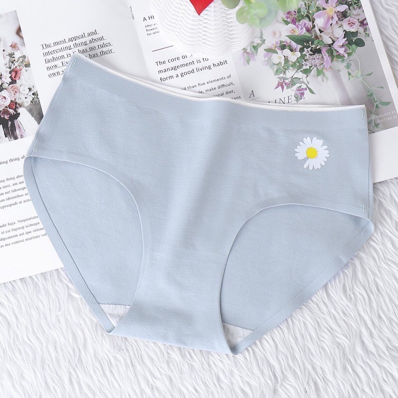 Quần Lót Cotton Không Đường May Hoa Cúc - Quần Lót Cotton Không Đường Viền Hoa Cúc | BigBuy360 - bigbuy360.vn