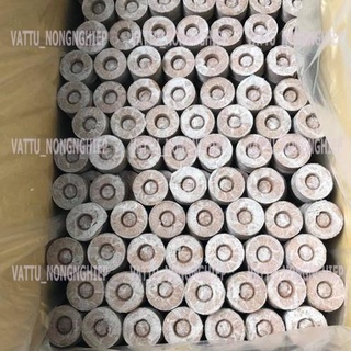 Gói 100 viên nén xơ dừa ươm hạt
