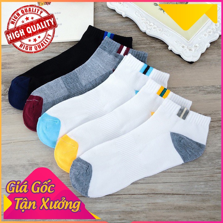 [RẺ SỐC] Tất vớ nam nữ cổ cổ gân tăm sọc, chất mềm, chống hôi chân (5 MÀU)