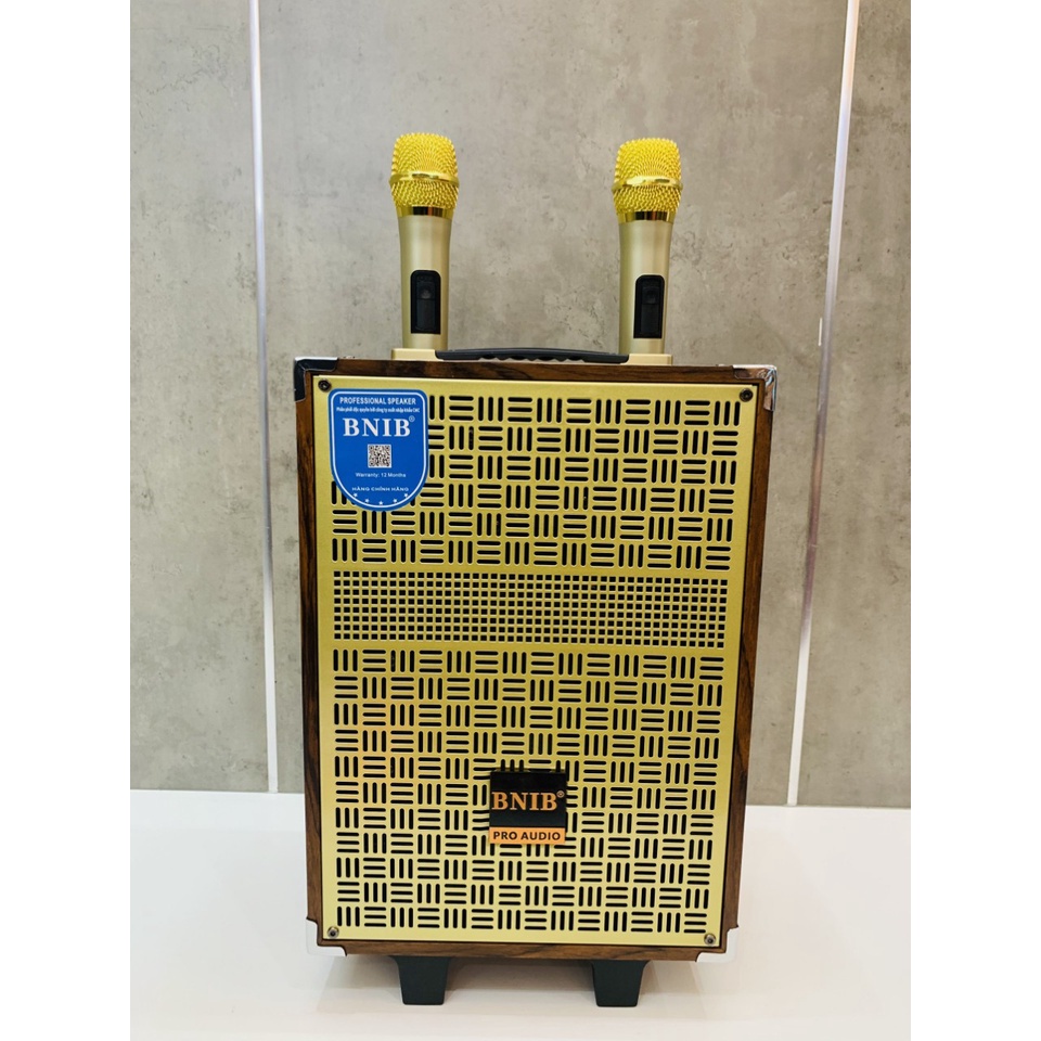 Loa kéo Bluetooth karaoke BNIB Bass 20 - Bass 25  Bass30 Công suất lớn - Tặng 2 Mic kiểu dáng đẹp